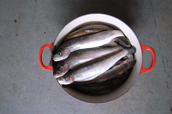 THEBRINE THEBRINE